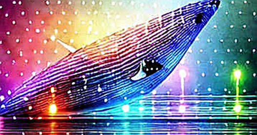 The Silicon Dependency: Why a 15% AI Stock Surge Signals a Deeper Crypto Security Fault Line